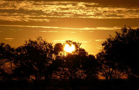 Paroo-Darling National Park - Accommodation Port Macquarie 0