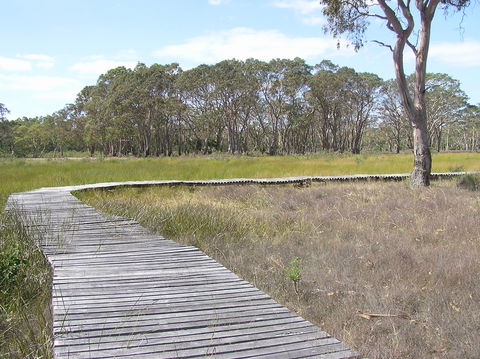 Penola Conservation Park - Accommodation Port Macquarie 1