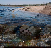 Point Cook Marine Sanctuary - Accommodation Port Macquarie