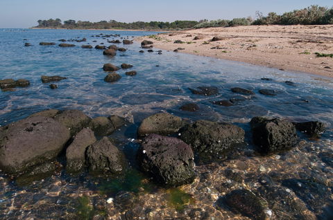 Point Cook Marine Sanctuary - Accommodation Port Macquarie 0
