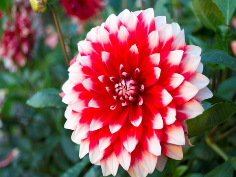 Portland Botanical Gardens - Accommodation Port Macquarie 1