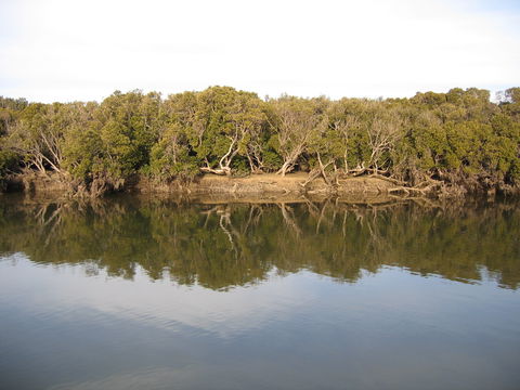 Price - Accommodation Port Macquarie 0