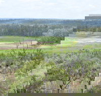 Princess Hills Girringun National Park - Accommodation Port Macquarie