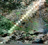 Rawson Falls Walk - Accommodation Port Macquarie