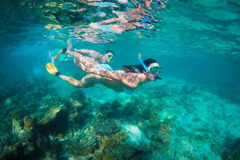 Snorkel The Ningaloo Reef - Accommodation Port Macquarie 1