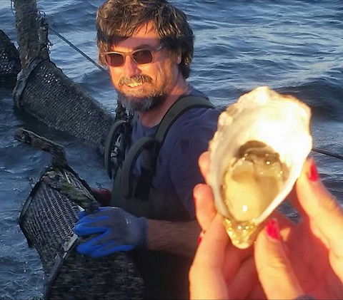 Southern Yorke Oysters - Accommodation Port Macquarie 0