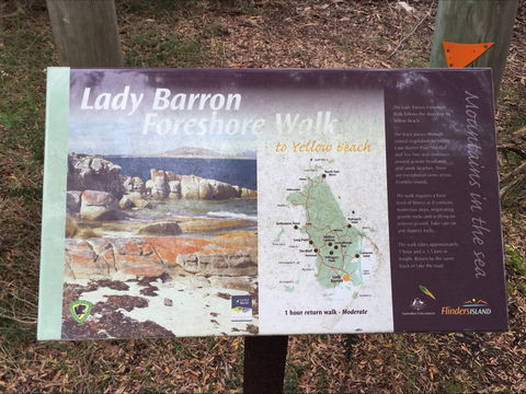 The Lady Barron Foreshore Walk - Accommodation Port Macquarie 0