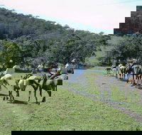 Timbertops - Horse Riding - Accommodation Port Macquarie