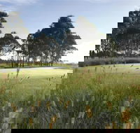 Twin Creeks Golf and Country Club - Accommodation Port Macquarie