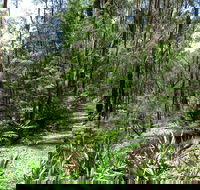 Tyers Park - Accommodation Port Macquarie