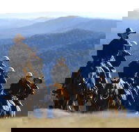 Victoria's High Country - Accommodation Port Macquarie