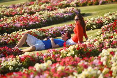 Victoria State Rose Garden At Werribee Park - Accommodation Port Macquarie 1