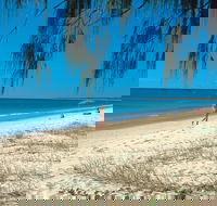 Woodgate Beach Park and Playground - Accommodation Port Macquarie