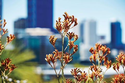 A Day In Perth - Accommodation Port Macquarie 1