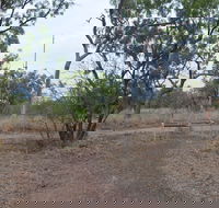 Alexander Forest Memorial - Accommodation Port Macquarie