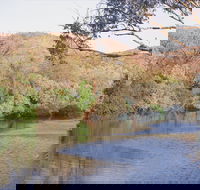 Alligator / Crocodile Hole - Accommodation Port Macquarie