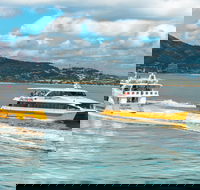 Apex Camps Magnetic Island Group Accommodation Activities and Events - Accommodation Port Macquarie