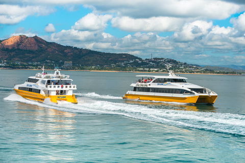 Apex Camps Magnetic Island Group Accommodation, Activities And Events - Accommodation Port Macquarie 0