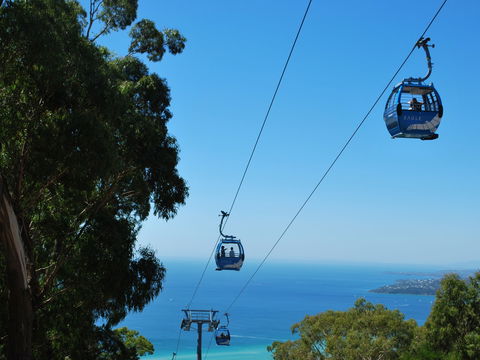 Arthurs Seat Eagle - Accommodation Port Macquarie 0