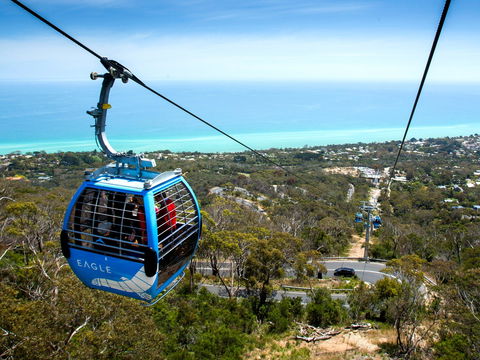 Arthurs Seat Eagle - Accommodation Port Macquarie 1