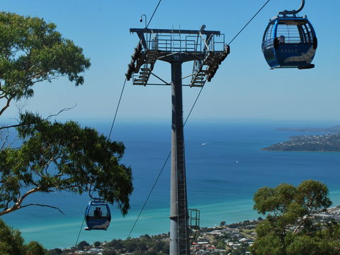 Arthurs Seat Eagle - Accommodation Port Macquarie 2