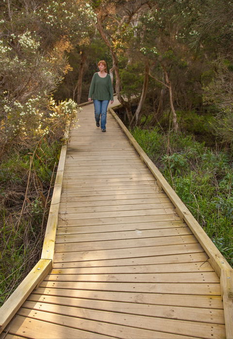 Balcombe Creek Estuary Boardwalk - Accommodation Port Macquarie 0