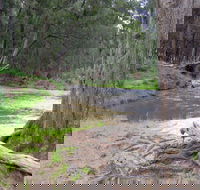 Bangadilly National Park - Accommodation Port Macquarie