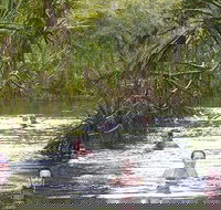 Berry Springs - Accommodation Port Macquarie