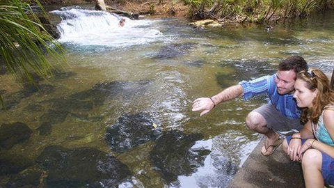 Berry Springs - Accommodation Port Macquarie 1