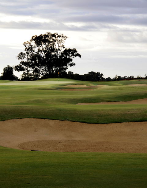 Black Bull Golf Course - Accommodation Port Macquarie 1
