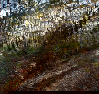 Booderee National Park Munyunga Waraga Dhugan Walking Trail - Accommodation Port Macquarie