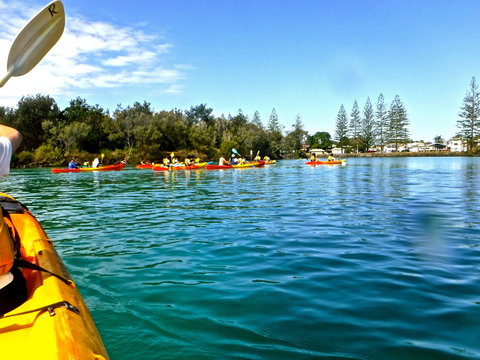 Byron Bay River Nature Kayak Tour - Accommodation Port Macquarie 0