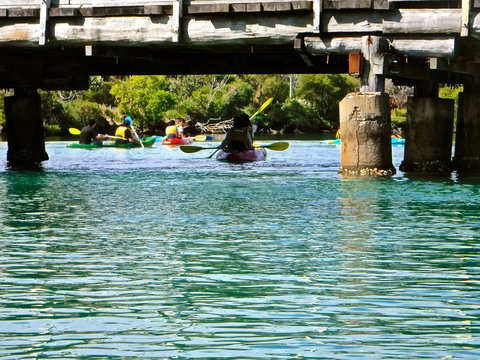 Byron Bay River Nature Kayak Tour - Accommodation Port Macquarie 1