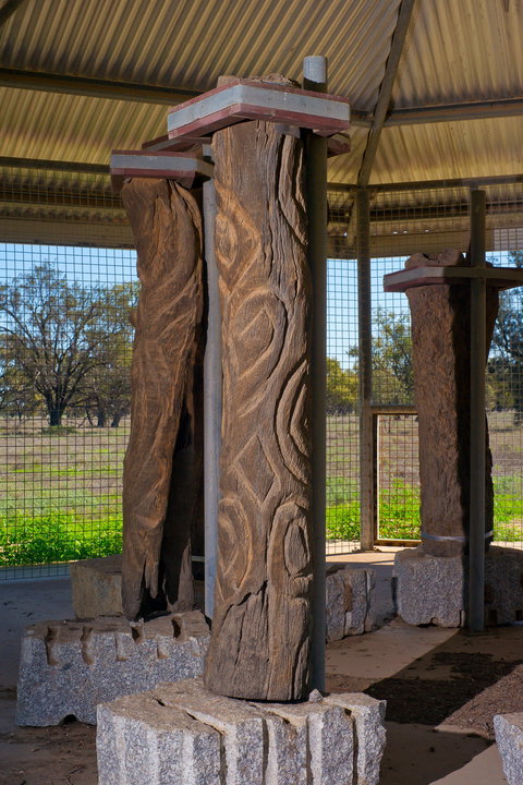 Collymongle Carved Trees - Accommodation Port Macquarie 1