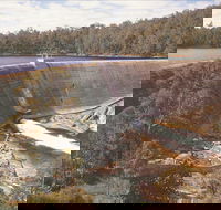 Collie - Accommodation Port Macquarie