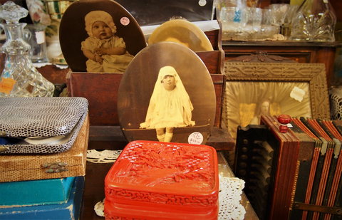 Contrary's On Clarence - Accommodation Port Macquarie 1