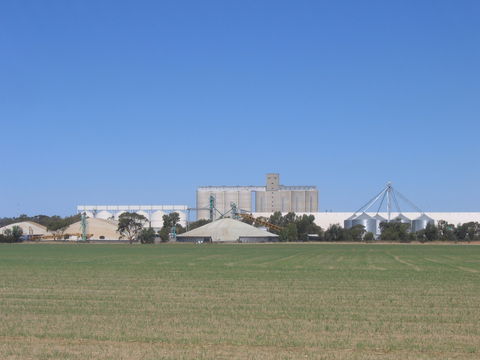 Co-operative Bulk Handling (CBH) Wheat Storage And Transfer Depot - Accommodation Port Macquarie 1