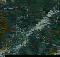 Dingo Forest - Accommodation Port Macquarie