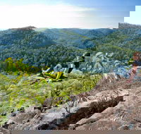 Dubbo Gully Loop Trail - Accommodation Port Macquarie