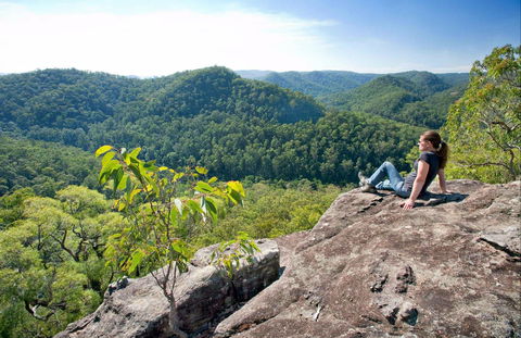 Dubbo Gully Loop Trail - Accommodation Port Macquarie 0
