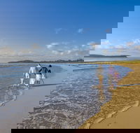 Eurobodalla - Accommodation Port Macquarie