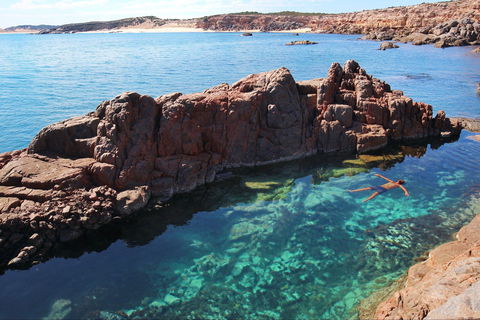 Eyre Peninsula - Accommodation Port Macquarie 0
