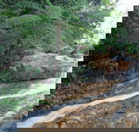 Finch Hatton - Accommodation Port Macquarie