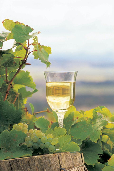 Flavours Of The Porongurup Range Trail - Accommodation Port Macquarie 0