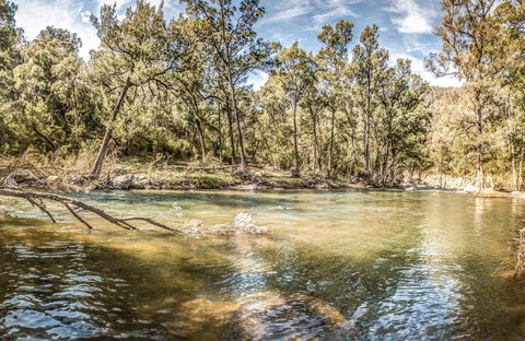 Flea Creek Picnic Area - Accommodation Port Macquarie 0