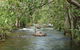 Florence Creek Walk - thumb 0