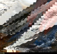 Goldfields at Ironbarks - Accommodation Port Macquarie