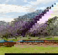 Governor Phillip Park - Accommodation Port Macquarie