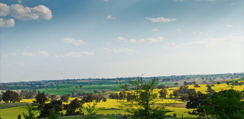 Harden Murrumburrah - Accommodation Port Macquarie 1