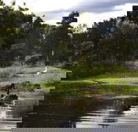 Hunter Wetlands Centre - Accommodation Port Macquarie